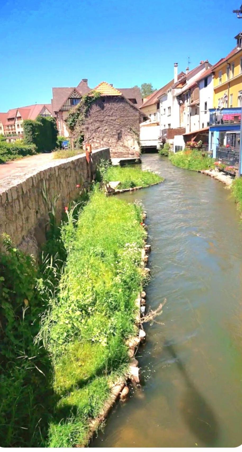 L'Atypique Des Remparts Villa Ensisheim Buitenkant foto